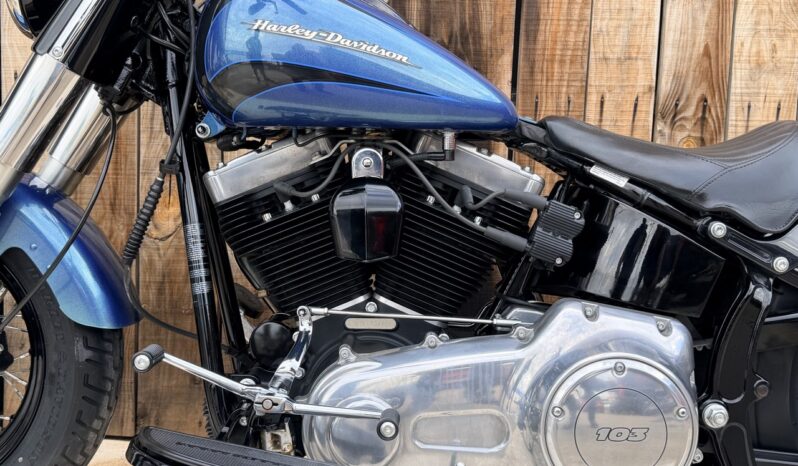 HARLEY DAVIDSON SOFTAIL SLIM lleno