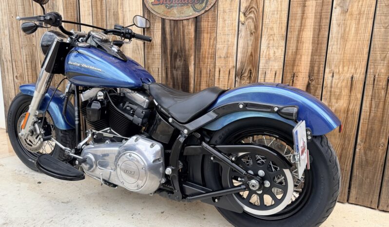 HARLEY DAVIDSON SOFTAIL SLIM lleno