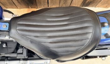HARLEY DAVIDSON SOFTAIL SLIM lleno