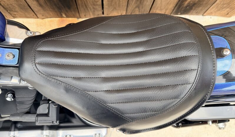 HARLEY DAVIDSON SOFTAIL SLIM lleno