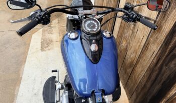HARLEY DAVIDSON SOFTAIL SLIM lleno
