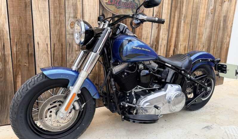 HARLEY DAVIDSON SOFTAIL SLIM lleno