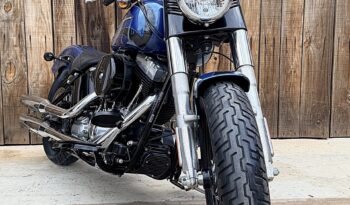 HARLEY DAVIDSON SOFTAIL SLIM lleno
