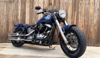 HARLEY DAVIDSON SOFTAIL SLIM lleno