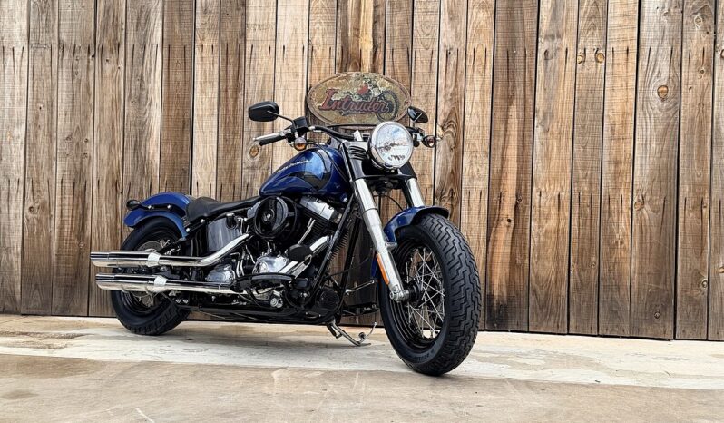 HARLEY DAVIDSON SOFTAIL SLIM lleno