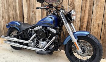 HARLEY DAVIDSON SOFTAIL SLIM lleno