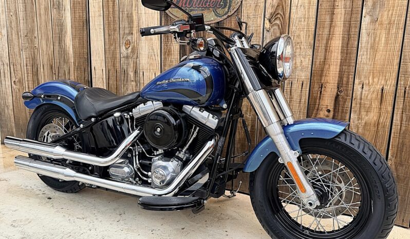 HARLEY DAVIDSON SOFTAIL SLIM lleno