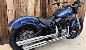 HARLEY DAVIDSON SOFTAIL SLIM lleno