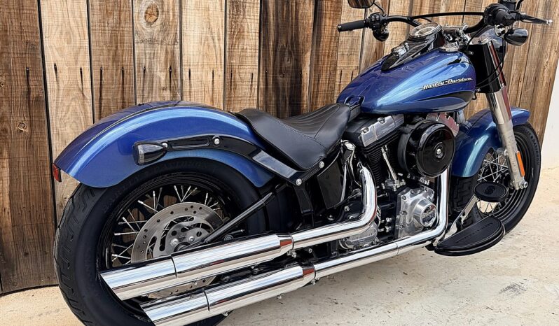 HARLEY DAVIDSON SOFTAIL SLIM lleno
