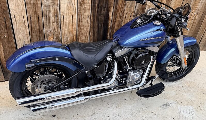 HARLEY DAVIDSON SOFTAIL SLIM lleno