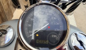 HARLEY DAVIDSON HERITAGE SOFTAIL CLASSIC lleno