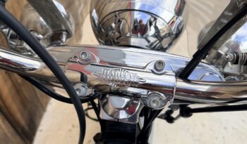 HARLEY DAVIDSON HERITAGE SOFTAIL CLASSIC lleno