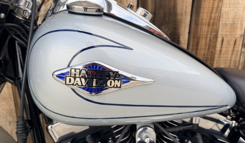 HARLEY DAVIDSON HERITAGE SOFTAIL CLASSIC lleno