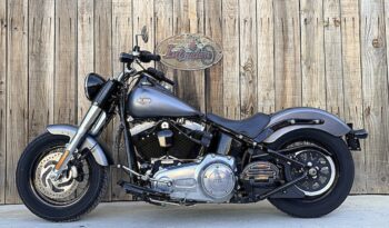 HARLEY DAVIDSON SOFTAIL SLIM lleno