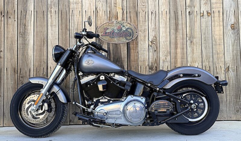 HARLEY DAVIDSON SOFTAIL SLIM lleno