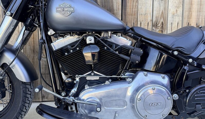 HARLEY DAVIDSON SOFTAIL SLIM lleno