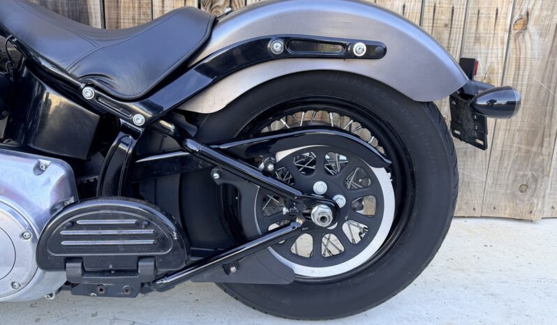 HARLEY DAVIDSON SOFTAIL SLIM lleno