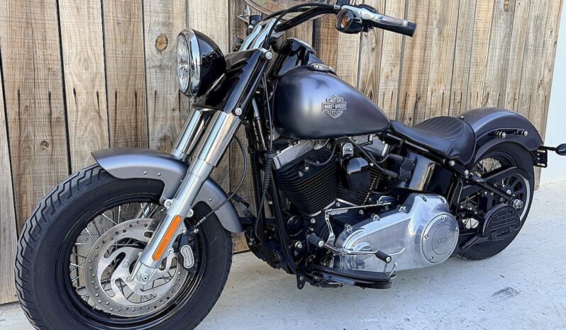 HARLEY DAVIDSON SOFTAIL SLIM lleno