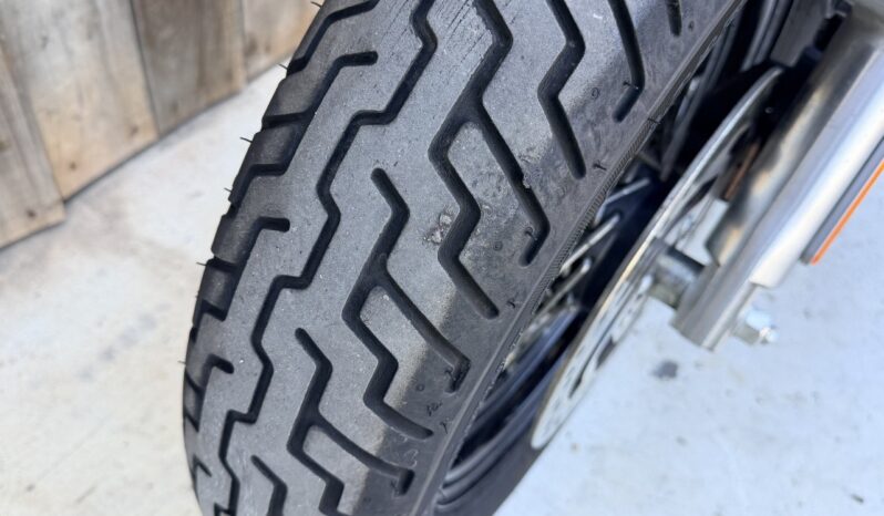 HARLEY DAVIDSON SOFTAIL SLIM lleno