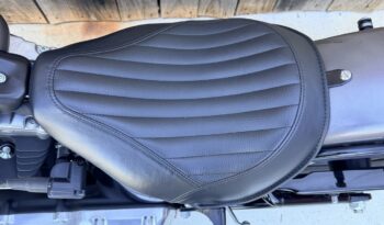 HARLEY DAVIDSON SOFTAIL SLIM lleno