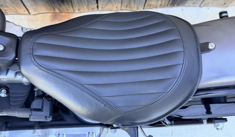 HARLEY DAVIDSON SOFTAIL SLIM lleno