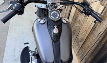 HARLEY DAVIDSON SOFTAIL SLIM lleno