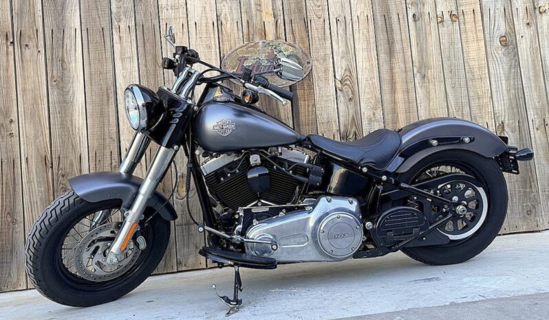 HARLEY DAVIDSON SOFTAIL SLIM lleno