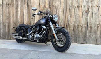 HARLEY DAVIDSON SOFTAIL SLIM lleno