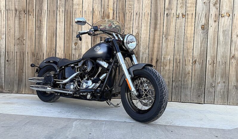 HARLEY DAVIDSON SOFTAIL SLIM lleno