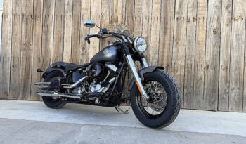 HARLEY DAVIDSON SOFTAIL SLIM lleno