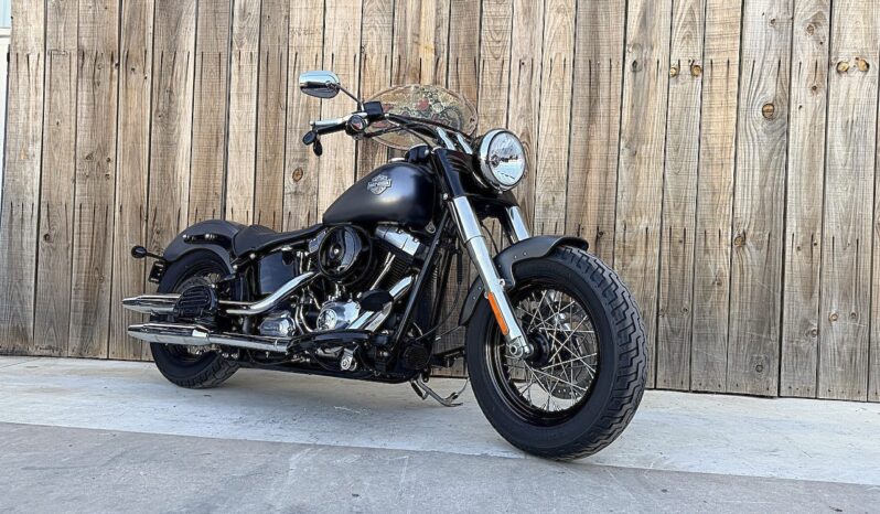 HARLEY DAVIDSON SOFTAIL SLIM lleno