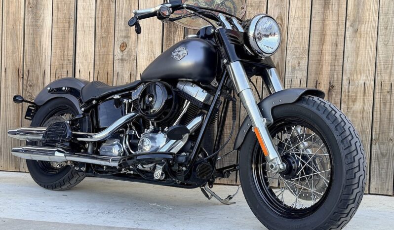 HARLEY DAVIDSON SOFTAIL SLIM lleno