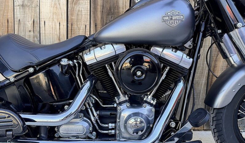 HARLEY DAVIDSON SOFTAIL SLIM lleno