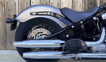 HARLEY DAVIDSON SOFTAIL SLIM lleno