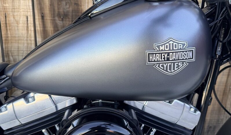 HARLEY DAVIDSON SOFTAIL SLIM lleno