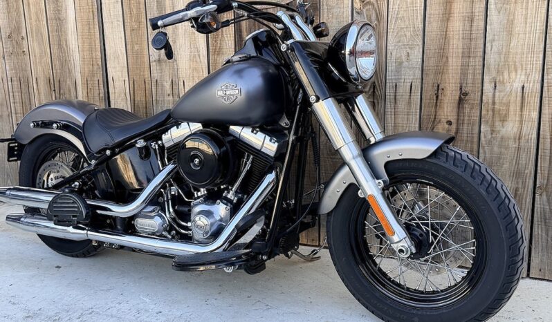 HARLEY DAVIDSON SOFTAIL SLIM lleno