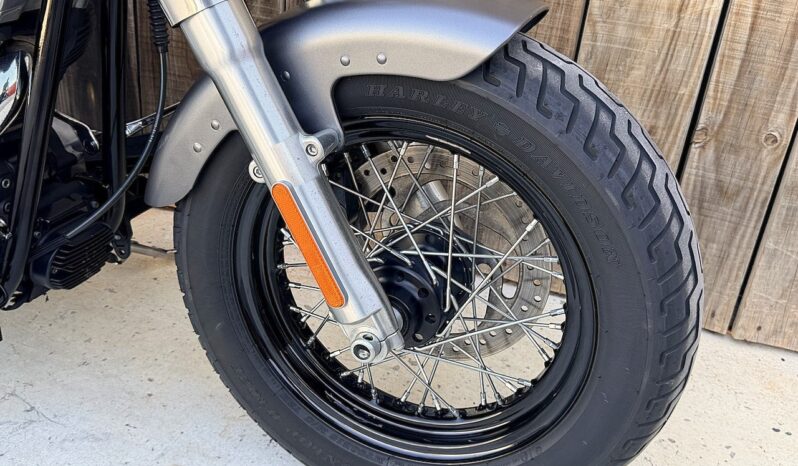 HARLEY DAVIDSON SOFTAIL SLIM lleno