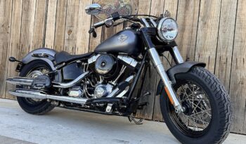 HARLEY DAVIDSON SOFTAIL SLIM lleno
