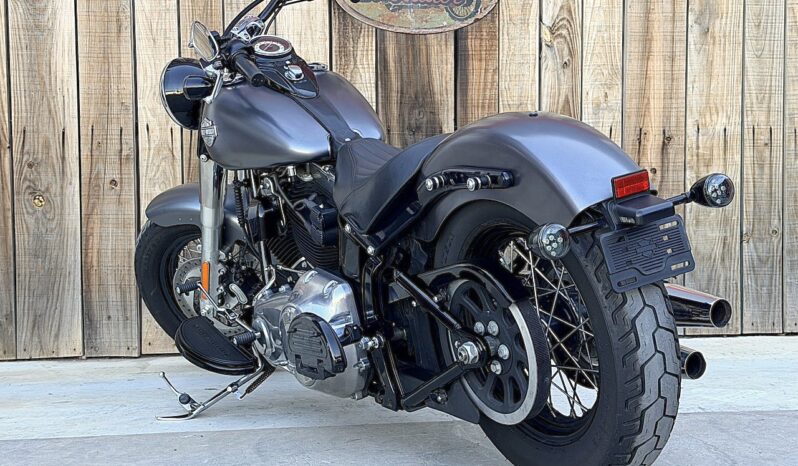 HARLEY DAVIDSON SOFTAIL SLIM lleno