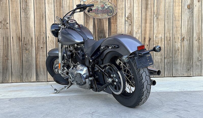 HARLEY DAVIDSON SOFTAIL SLIM lleno
