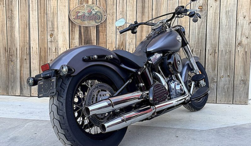 HARLEY DAVIDSON SOFTAIL SLIM lleno
