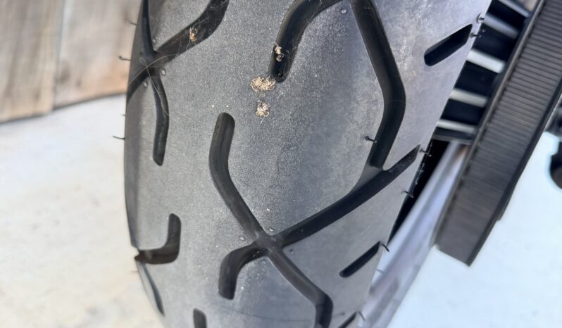 HARLEY DAVIDSON XL883 IRON lleno