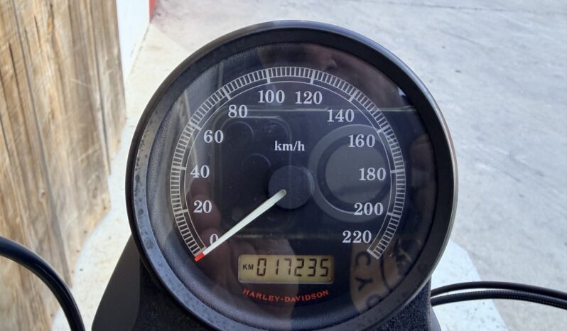 HARLEY DAVIDSON XL883 IRON lleno