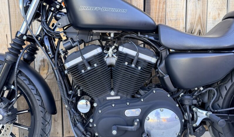 HARLEY DAVIDSON XL883 IRON lleno