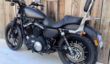 HARLEY DAVIDSON XL883 IRON lleno
