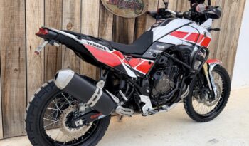 YAMAHA TENERE 700 lleno