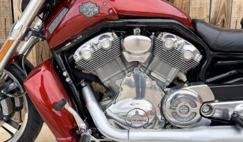 HARLEY DAVIDSON VRSCF MUSCLE lleno