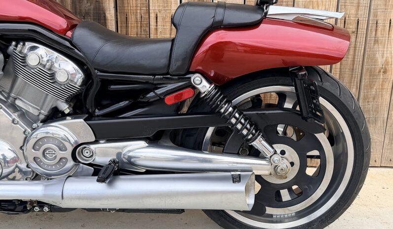 HARLEY DAVIDSON VRSCF MUSCLE lleno