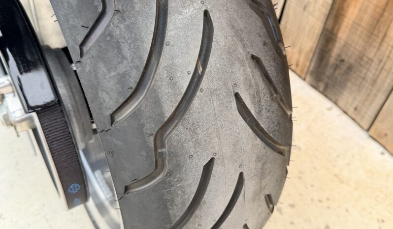 HARLEY DAVIDSON VRSCF MUSCLE lleno