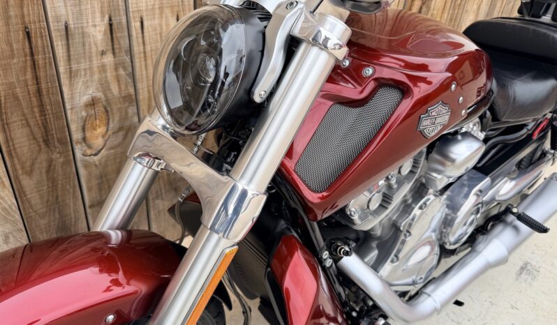 HARLEY DAVIDSON VRSCF MUSCLE lleno